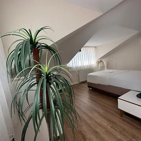 3+2 Dubleks House * اسطنبول